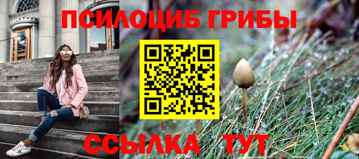 Псилоцибиновые грибы Cubensis  купить закладку  Хасавюрт  Вход с VPN 
