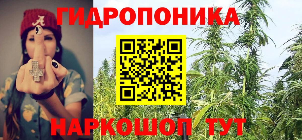 МАРИХУАНА ГИДРОПОН Хасавюрт